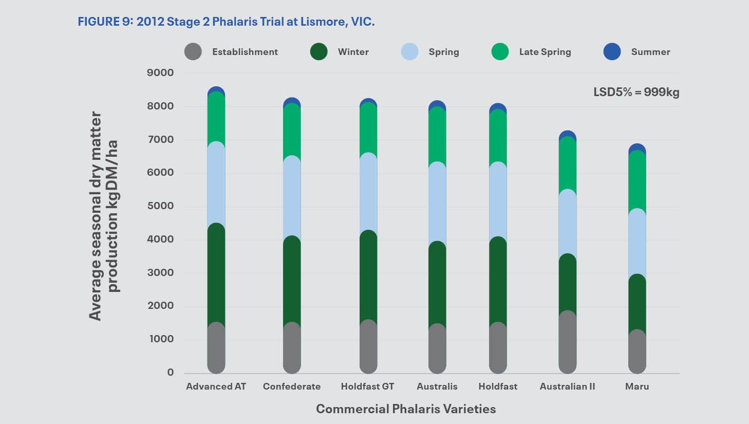 DLF Seeds | Confederate phalaris trial at Lismore VIC